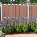 Composiet schutting Design Bruin 180x180 cm