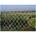 Bamboe trellis harmonicascherm