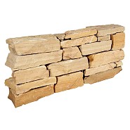 Bourgogne geel  10-14 cm