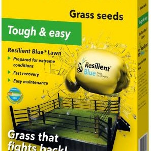 1 kg Barenbrug Graszaad Blue lawn