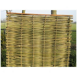 Wilgenscherm Elegance