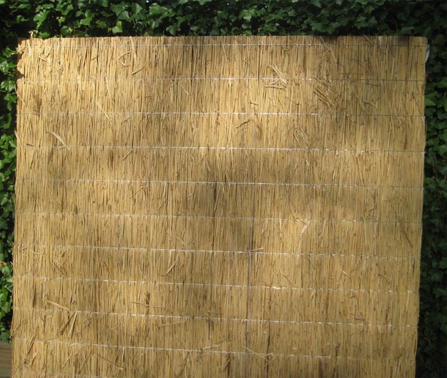 Rietplaat Nagy 50X200