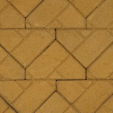 Bisschopsmuts 8cm geel